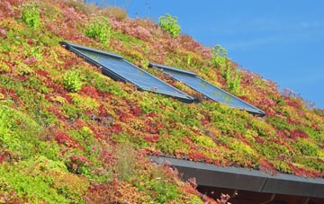 Great Ryton living roof systems